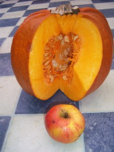 pumpkin and apple